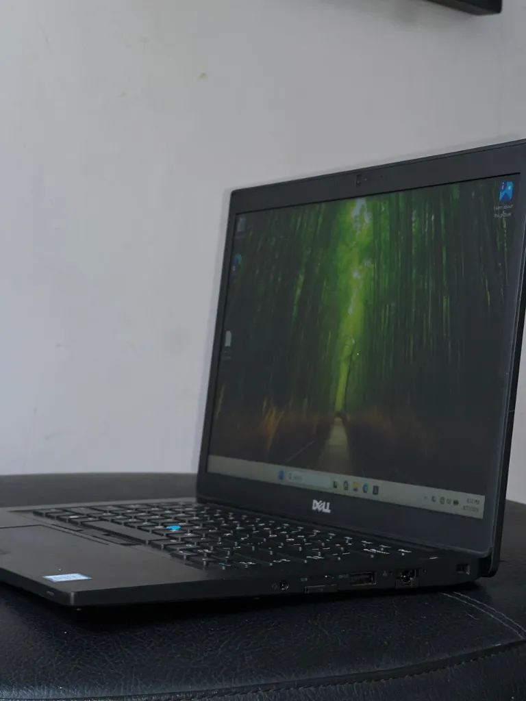 DELL 7480 .webp