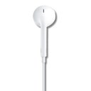 pad (15).png
